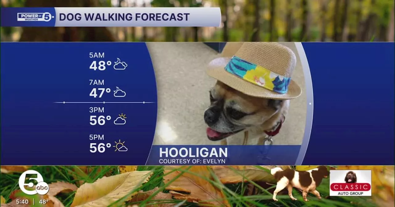 CMSD Plans Significant School Closures and Mergers for 2026-2027