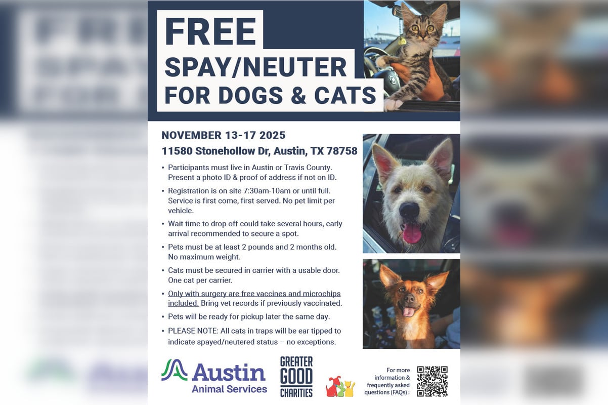Austin Animal Services Launches Free Spay/Neuter Clinic