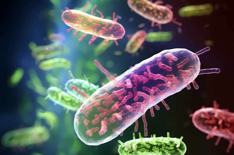 New Bacterial Repair Mechanism Uncovered to Combat Antibiotic Resistance