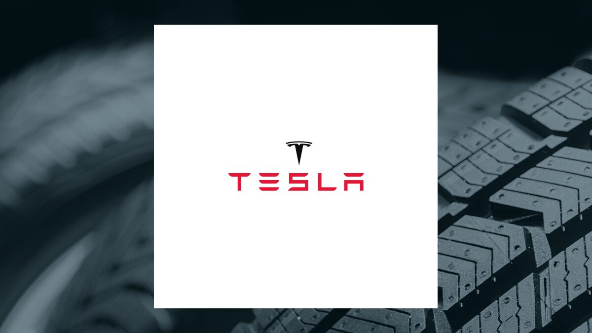 Tesla and Cheetah Net Supply Chain: A Comparative Analysis